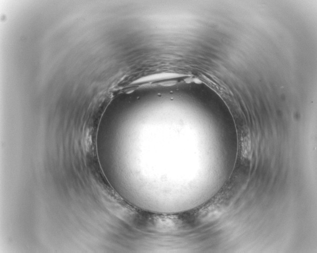 X0000088910618200706221931