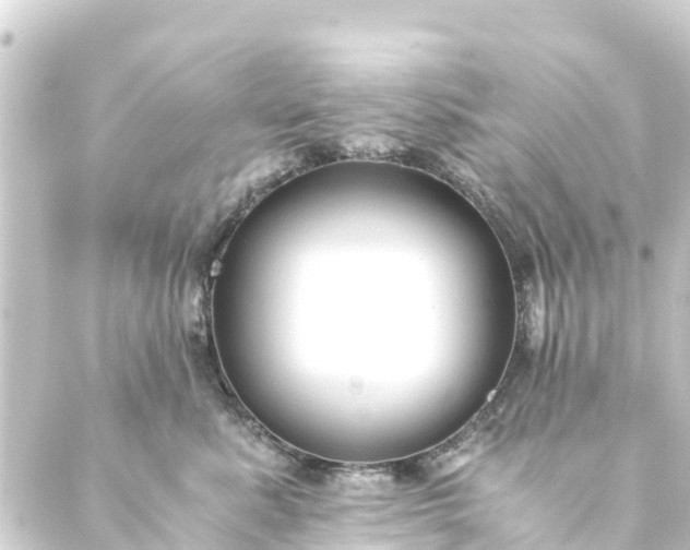 X0000088910619200706221931