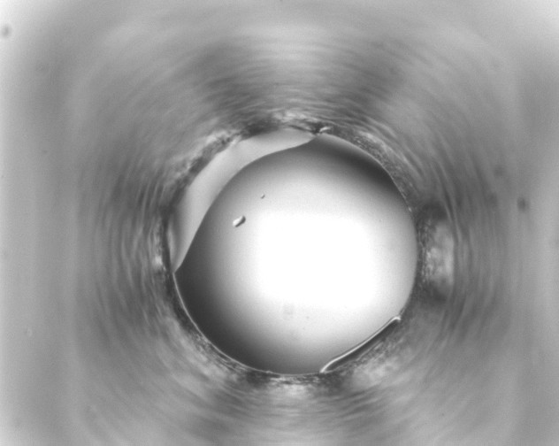 X0000088910620200706221931