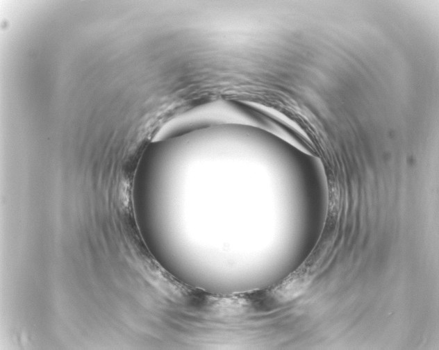 X0000088910621200706221931