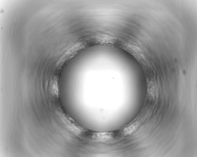 X0000088910622200706221931