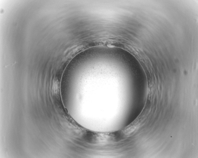 X0000088910623200706221931