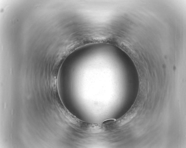 X0000088910624200706221931