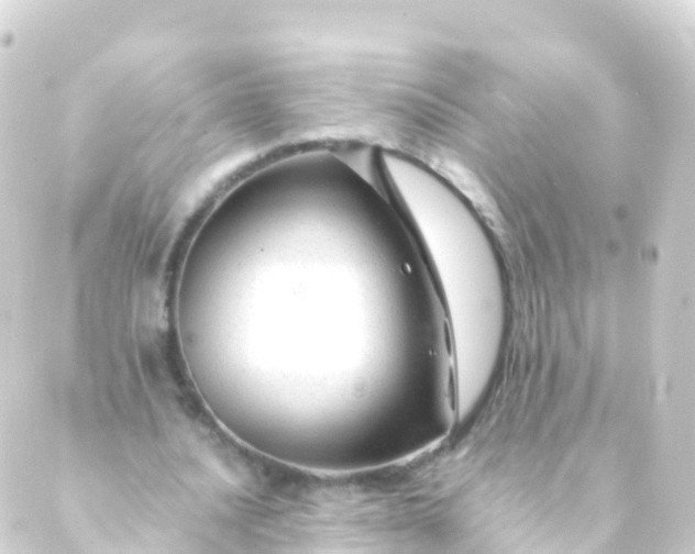 X0000088910628200706221930