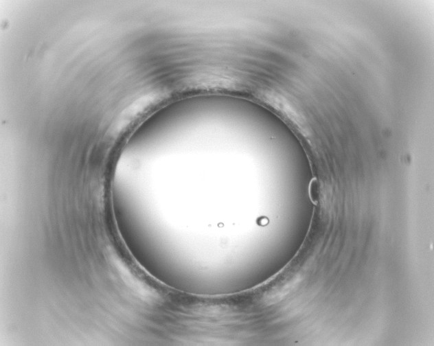 X0000088910629200706221930