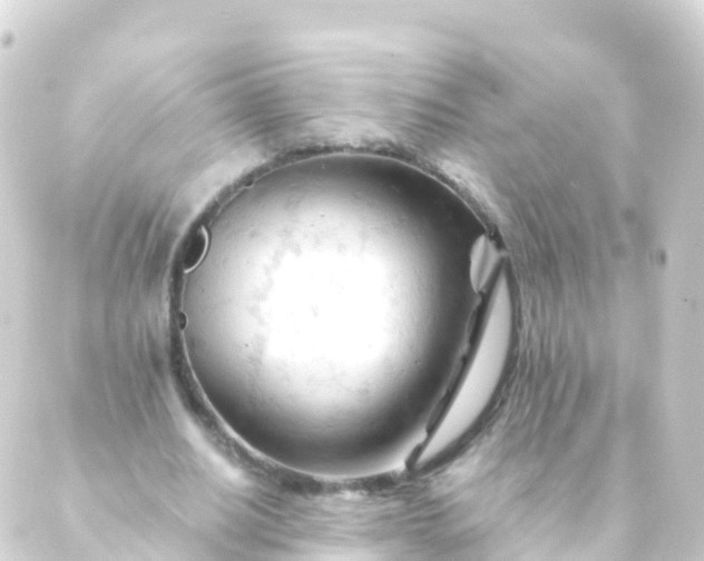 X0000088910630200706221930