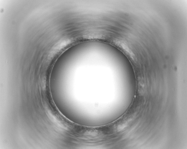 X0000088910631200706221930