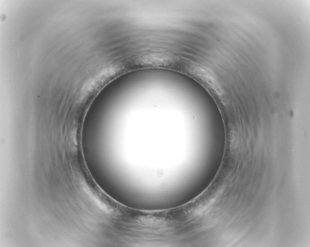 X0000088910633200706221930