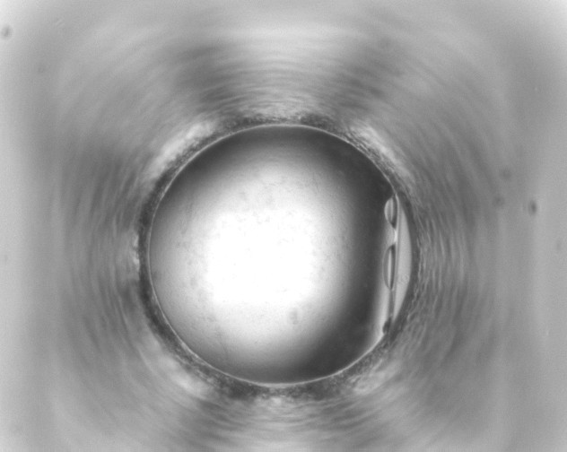 X0000088910634200706221930