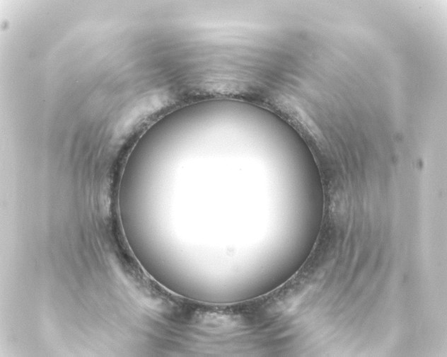 X0000088910635200706221930