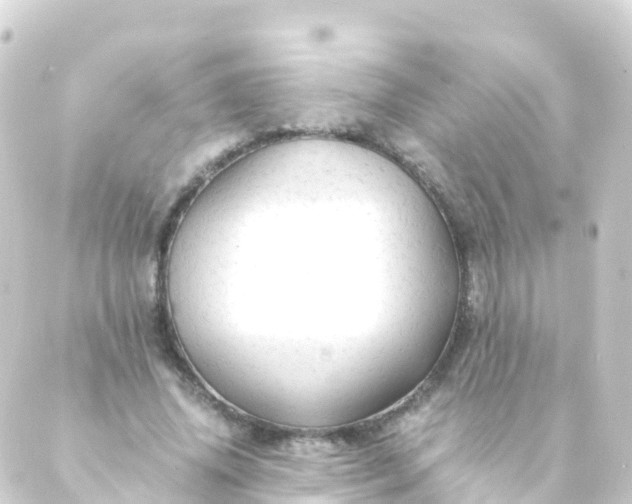 X0000088910636200706221930