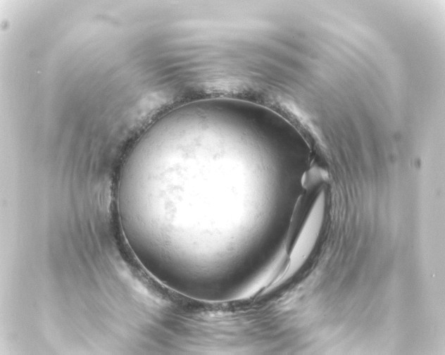 X0000088910637200706221930