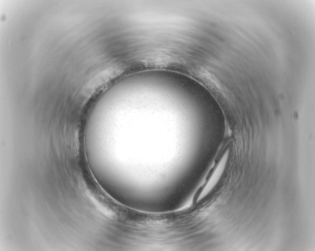 X0000088910638200706221930