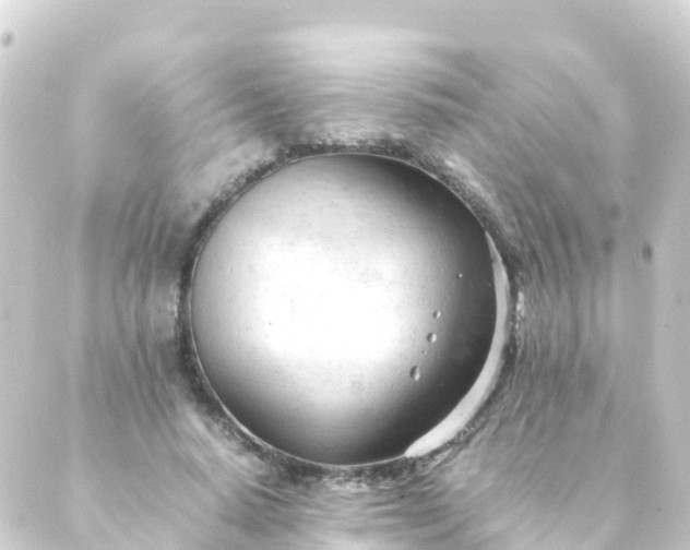 X0000088910640200706221930