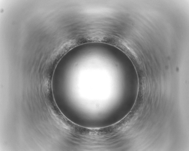 X0000088910641200706221930