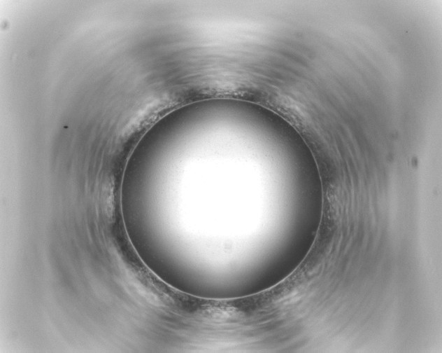 X0000088910642200706221930