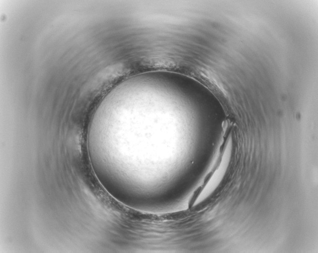 X0000088910643200706221930