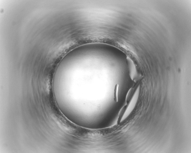 X0000088910644200706221930