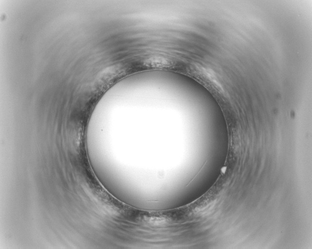 X0000088910645200706221930