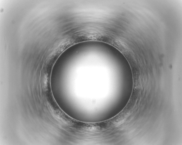 X0000088910646200706221930