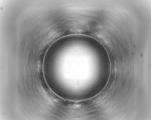 X0000088910647200706221930