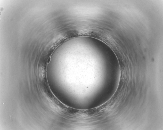 X0000088910648200706221930