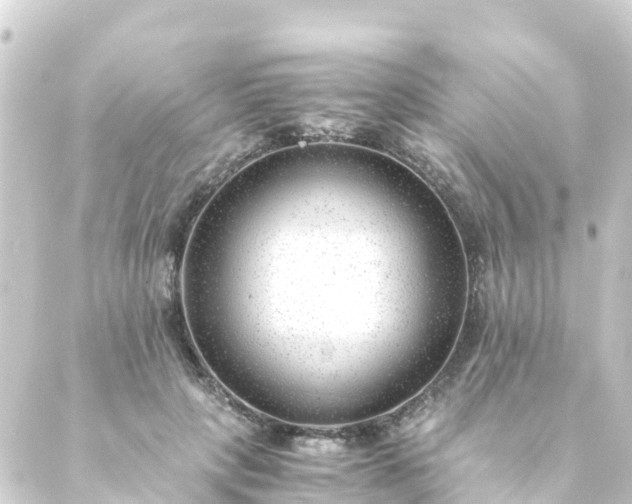 X0000088910649200706221930