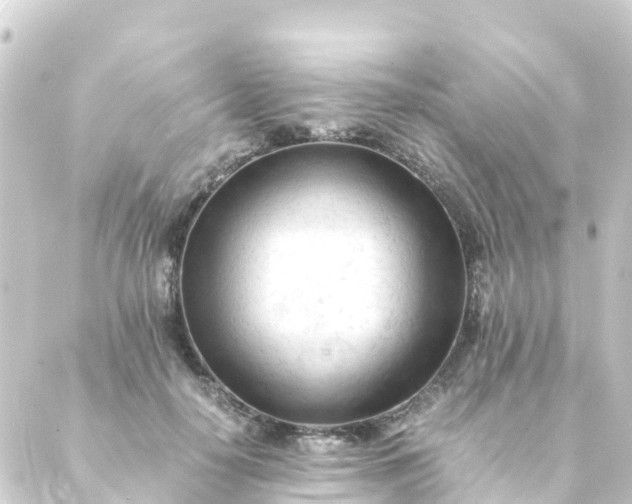 X0000088910650200706221930