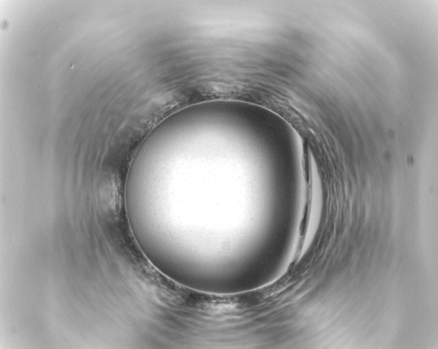 X0000088910651200706221930