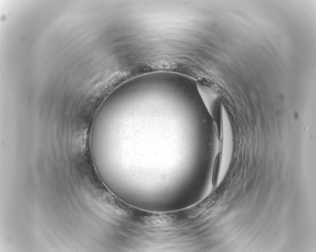 X0000088910652200706221930