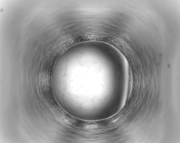 X0000088910653200706221931