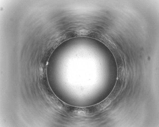 X0000088910655200706221931