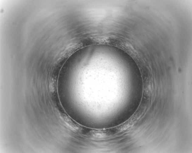 X0000088910658200706221931