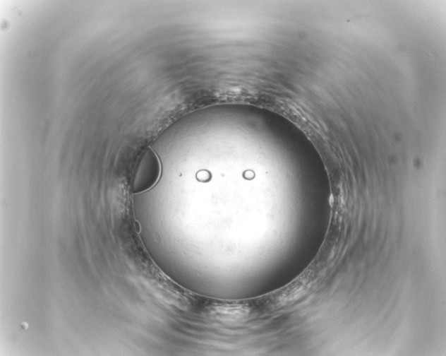 X0000088910659200706221931