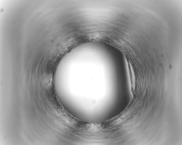 X0000088910660200706221931