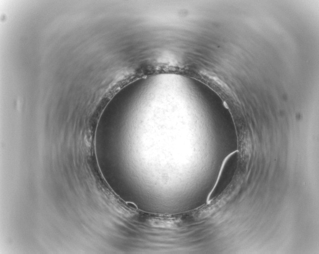 X0000088910661200706221931