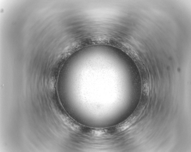 X0000088910662200706221931