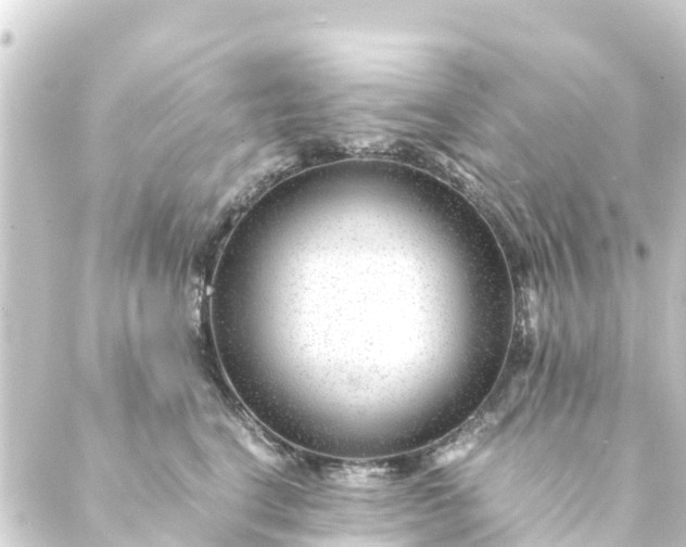 X0000088910664200706221931