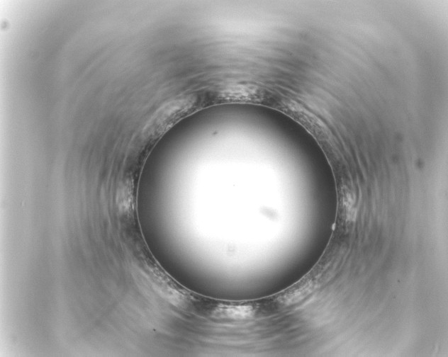 X0000088910665200706221931