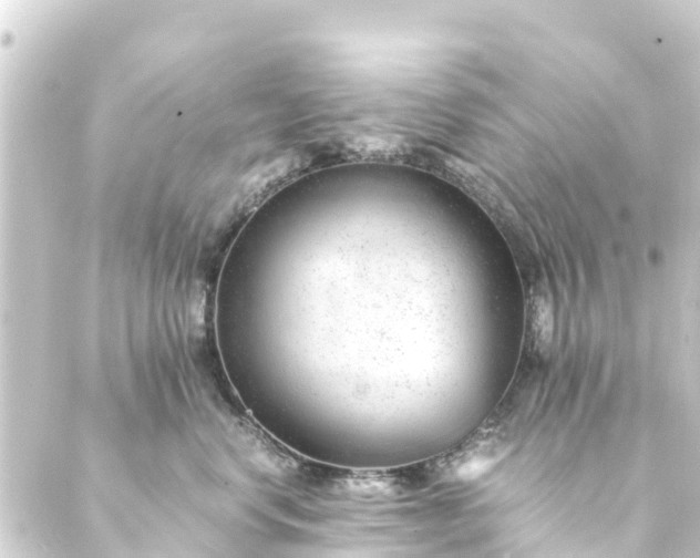 X0000088910668200706221931