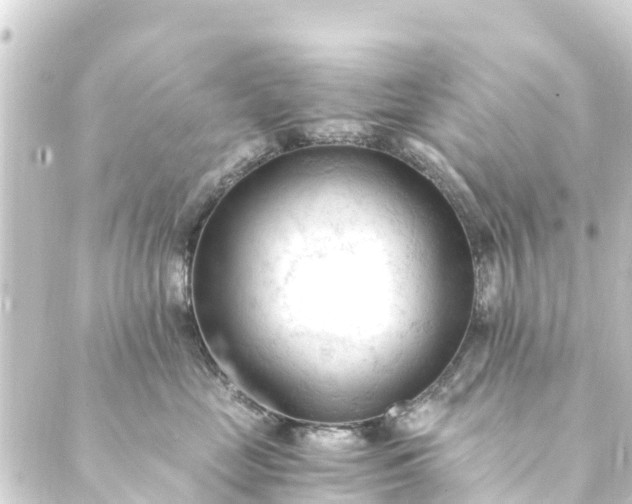 X0000088910669200706221931