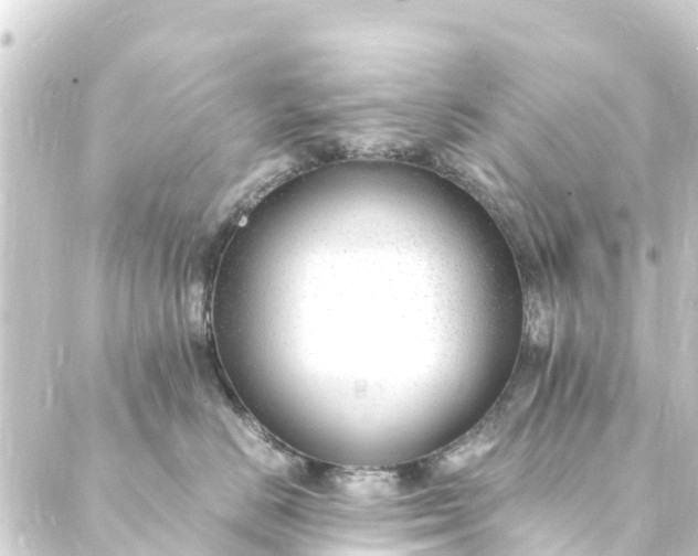 X0000088910670200706221931