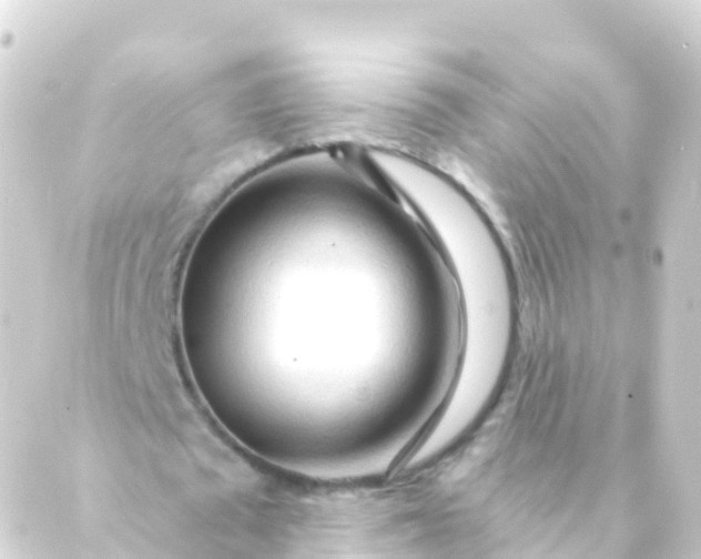 X0000088910673200706221930