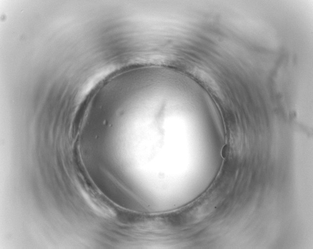 X0000088910674200706221930