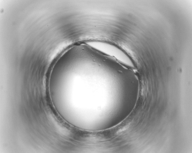 X0000088910678200706221930