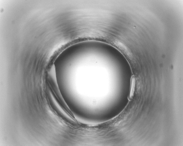 X0000088910680200706221930