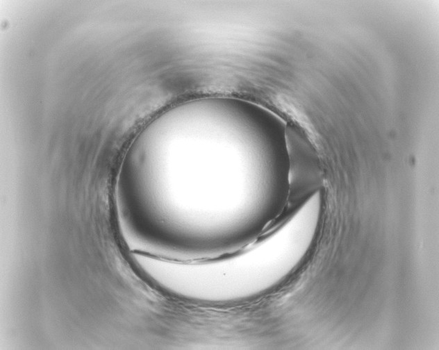 X0000088910681200706221930