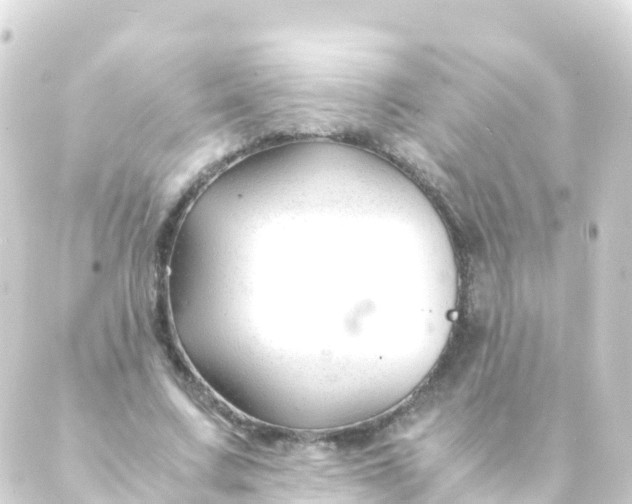 X0000088910683200706221930