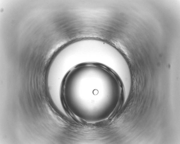 X0000088910684200706221930