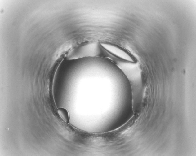 X0000088910685200706221930